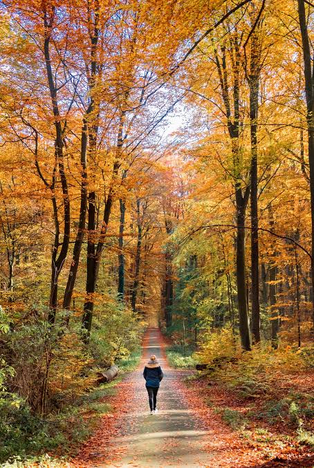 Active Walking